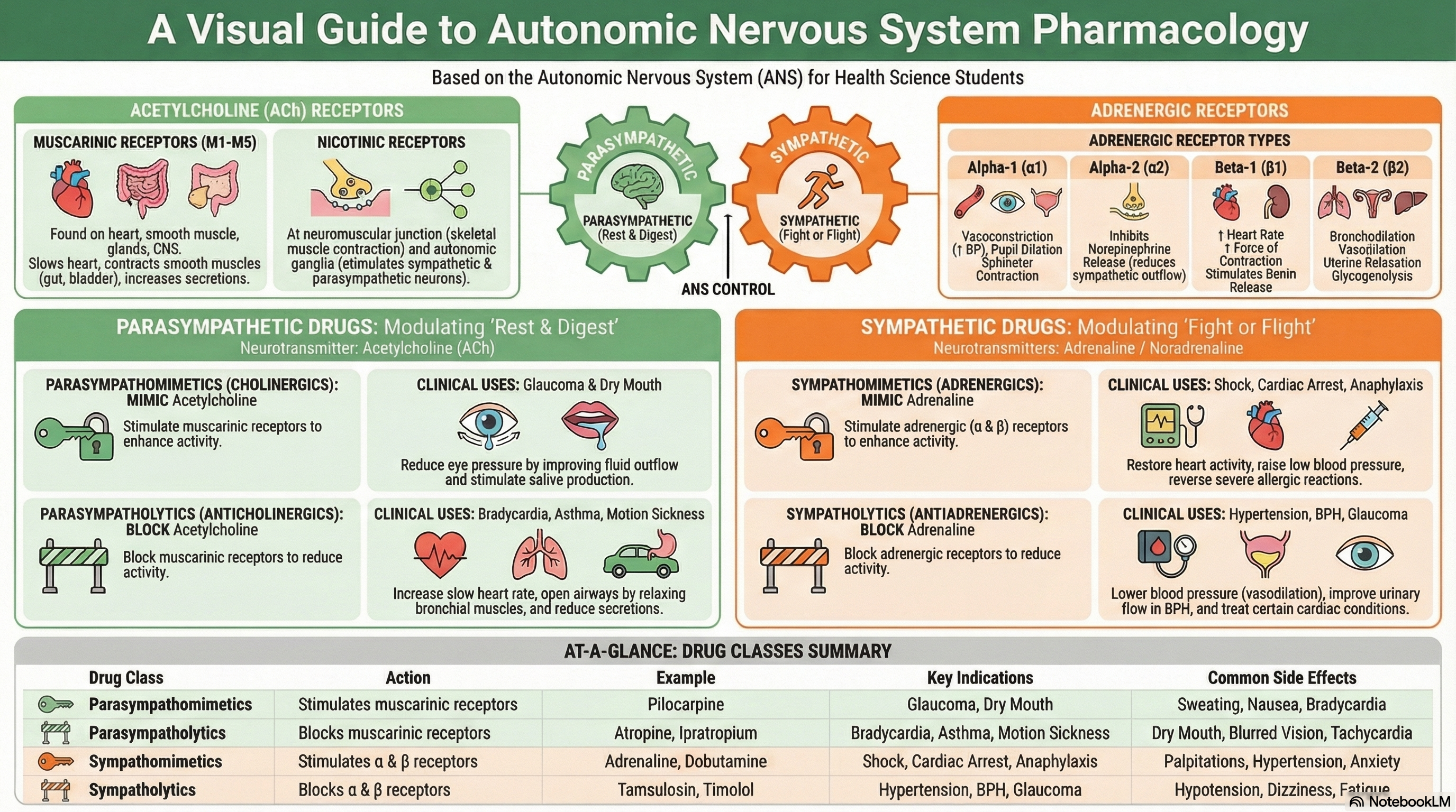 HA Pharmacology and Pharmacy Unit 2 Drugs Acting on Autonomic Nervous System Notes