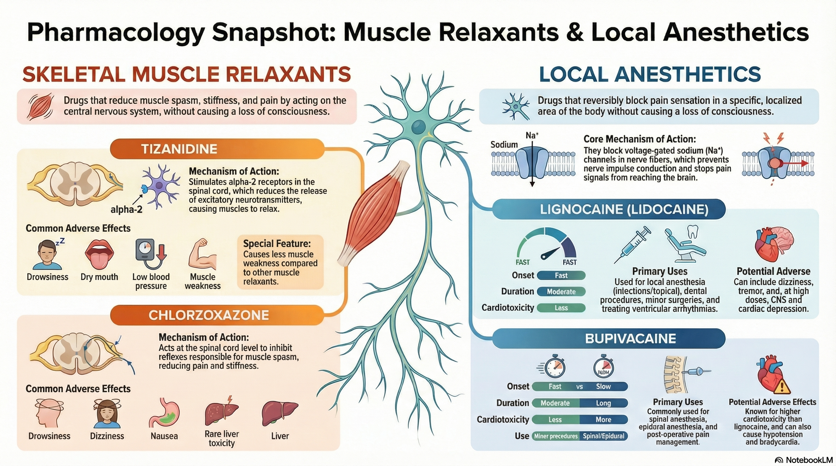 HA Pharmacology and Pharmacy Unit 3 Drugs Acting on Peripheral Nervous System Notes